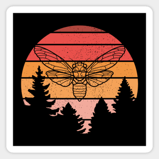 Cicada Lover 2024 Sticker